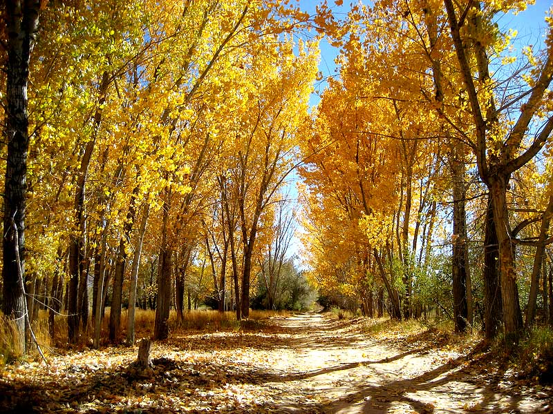 walking trails in deer hollow